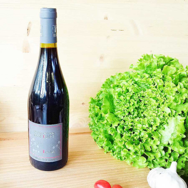 « Initial Rouge » vin rouge bio, Carignan & Syrah, IGP Collines de la Moure